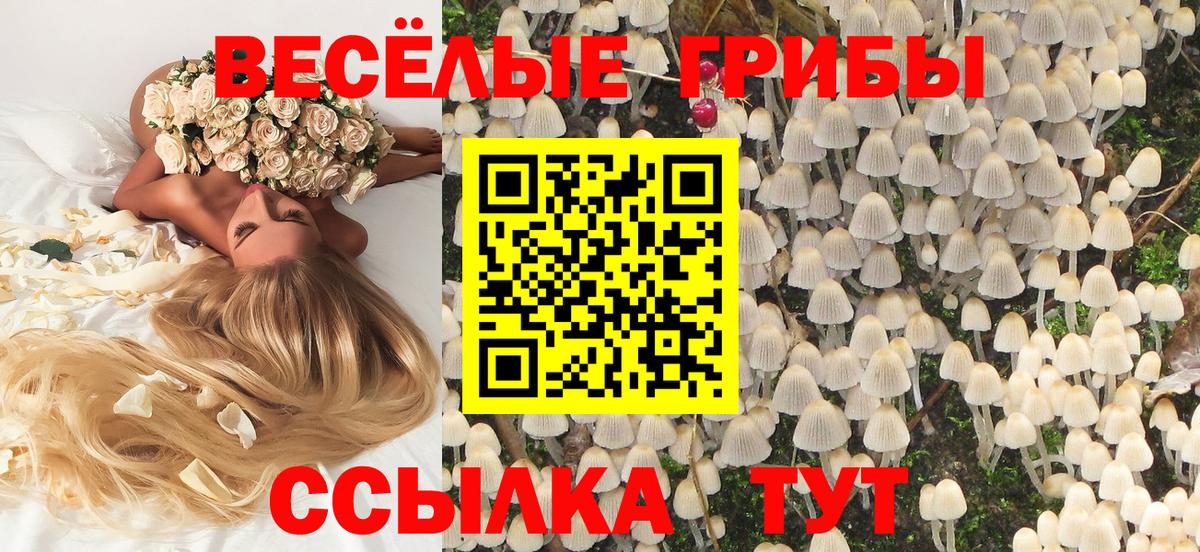 Псилоцибиновые грибы Psilocybe  Галлюциногенные грибы Psilocybine cubensis  где можно купить   Ликино-Дулёво  Вход с VPN 